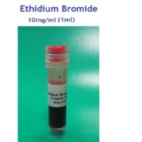 سیناکلون اتیدیوم بروماید Ethidium Bromide,1ml-EP5011