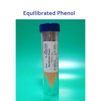 سیناکلون Phenol Equilibrated,20ml-EX6091
